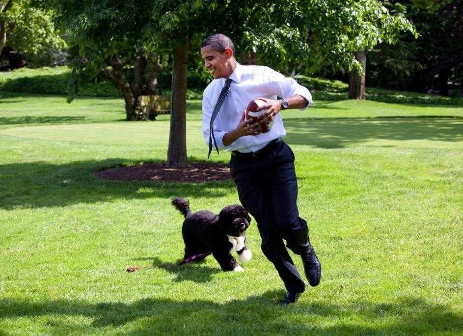 Barack Obama playing with his pet