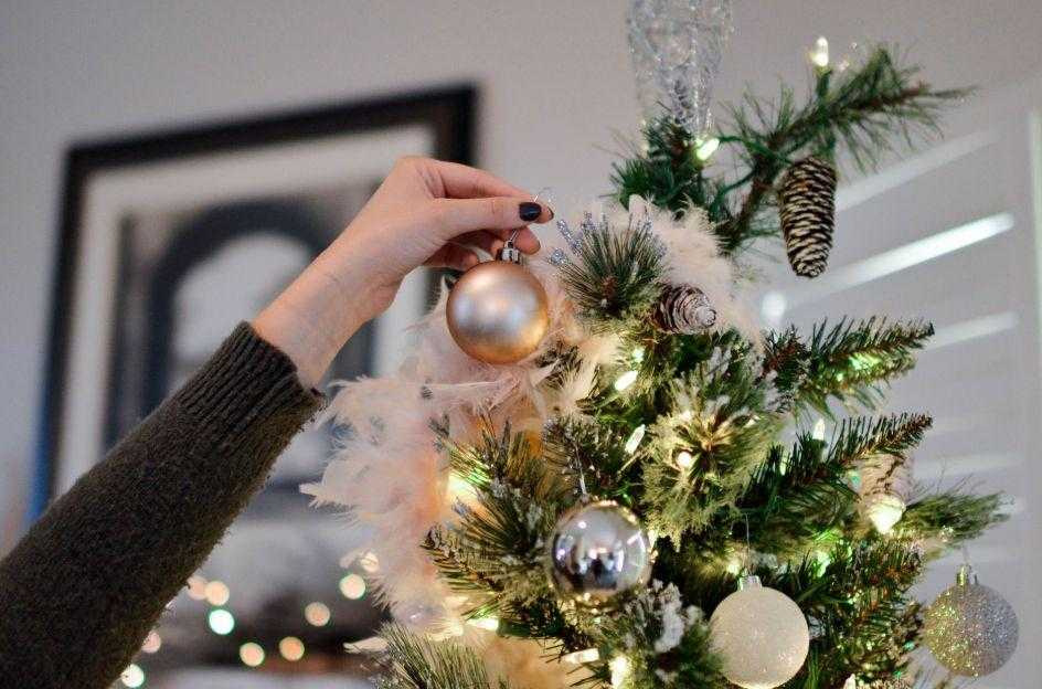 Christmas tree | Christmas Gift