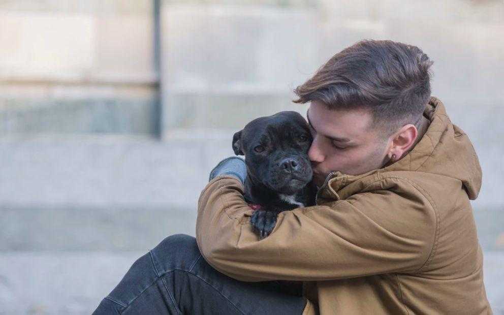 man hugging a dog 