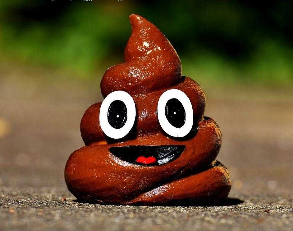 funny-poop