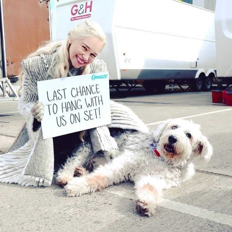 Emilia Clarke's puppy