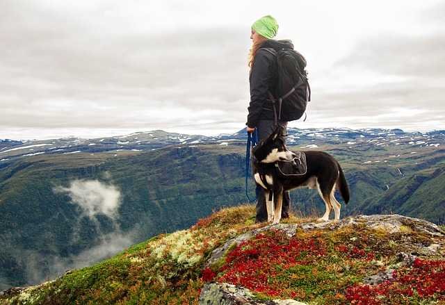 A woman hiking with a dog and standing on a Hill top.