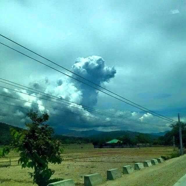 dog in cloud