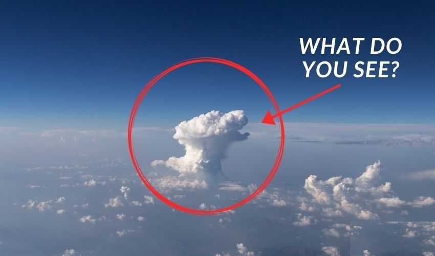 dogcloud.jpg