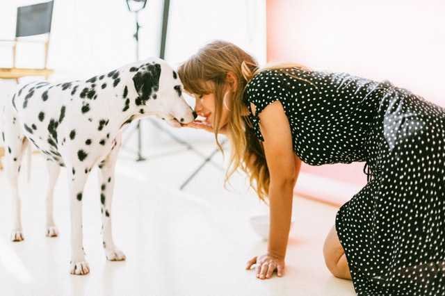 A woman loving her Dalmatian dog