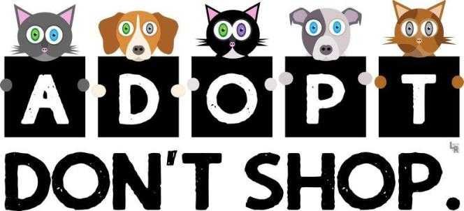 Adopt-Dont-Shop