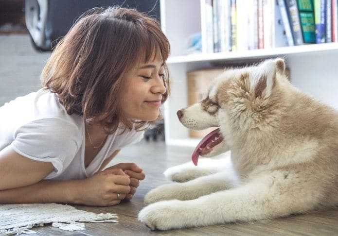 Women and dog facing each other