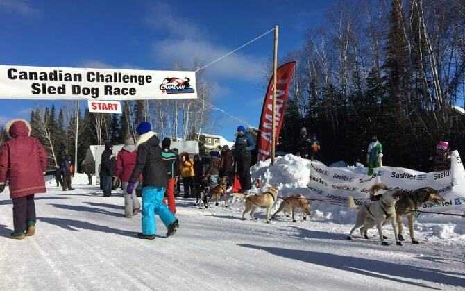 Sled-Dog-Race