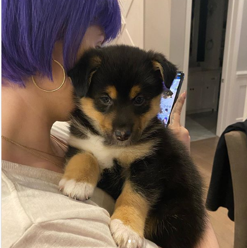 Kelly Osbourne with her pet dog 