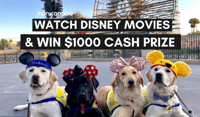 BINGE-WATCH DISNEY DOG MOVIES AND GET PAID $1,000 BY THIS CBD OIL COMPANY!