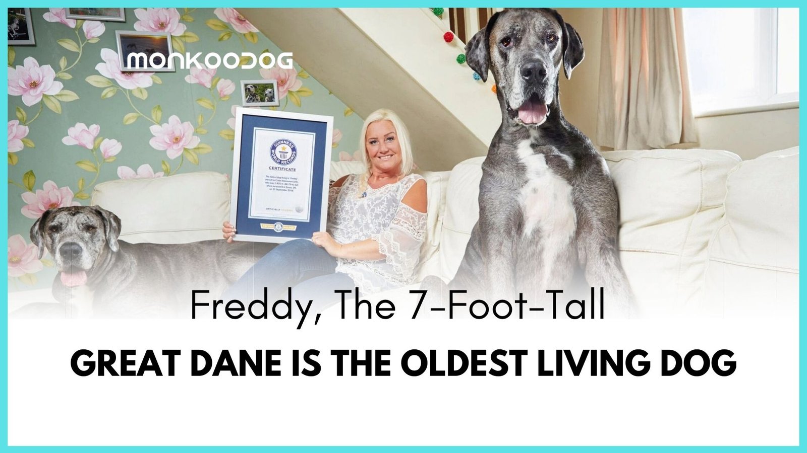 Freddy, the tallest dog is the oldest living dog in the world