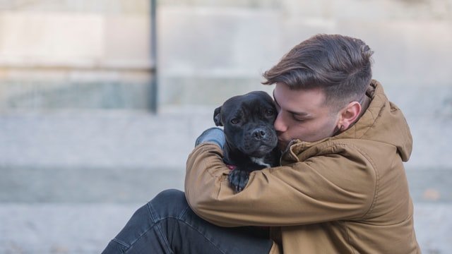 A boy is hugging and kissing a black Pitbull puppy in his arms