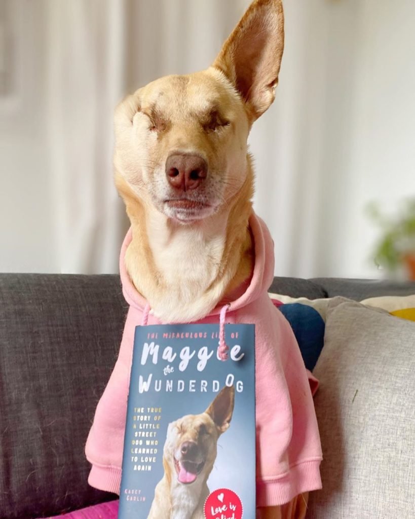 Maggie posing with her book about her true story as a street dog