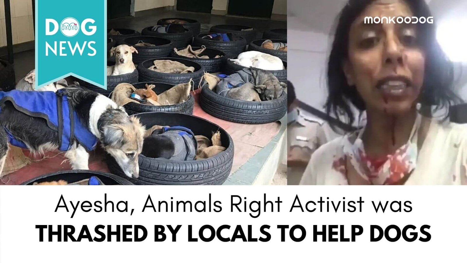Animal Rescuers assaulted by locals for Helping Street Dogs in Delhi