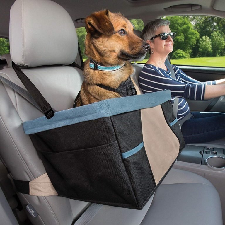 Best Car Accessories for Dog Owners Monkoodog