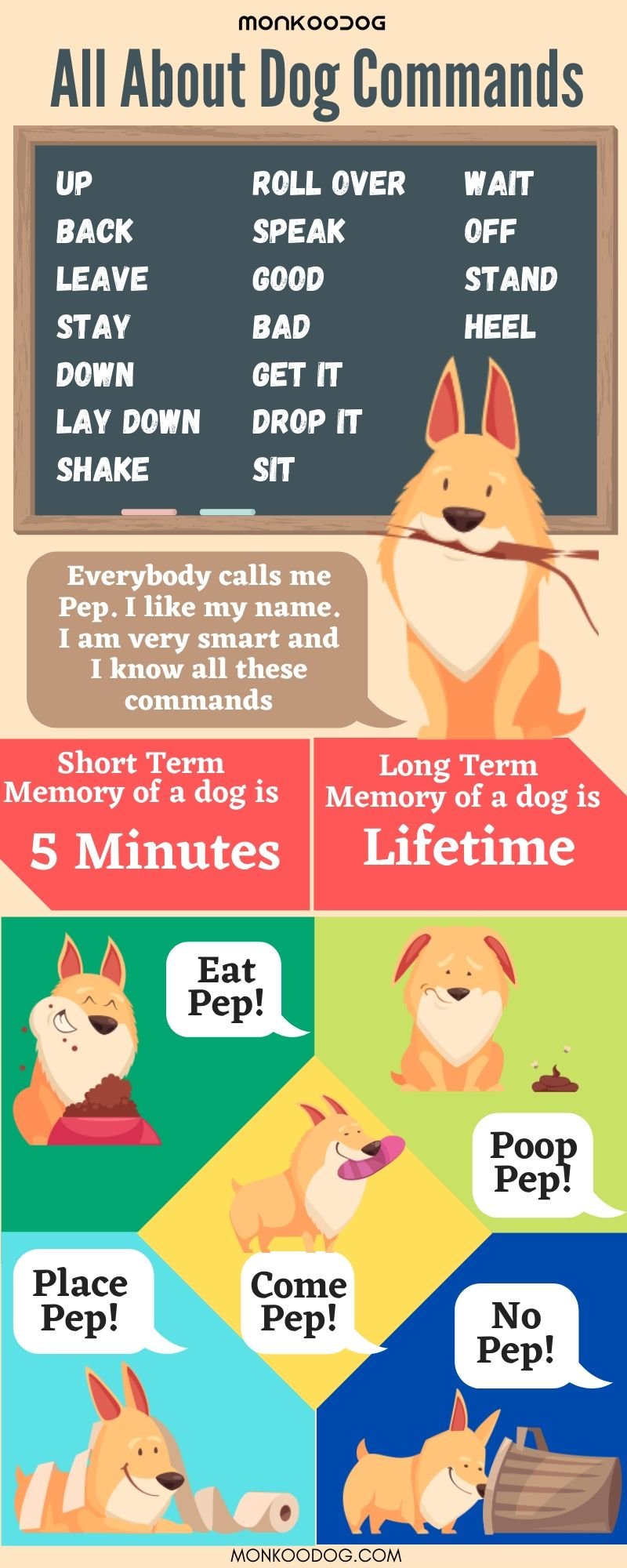 Train Dog commands