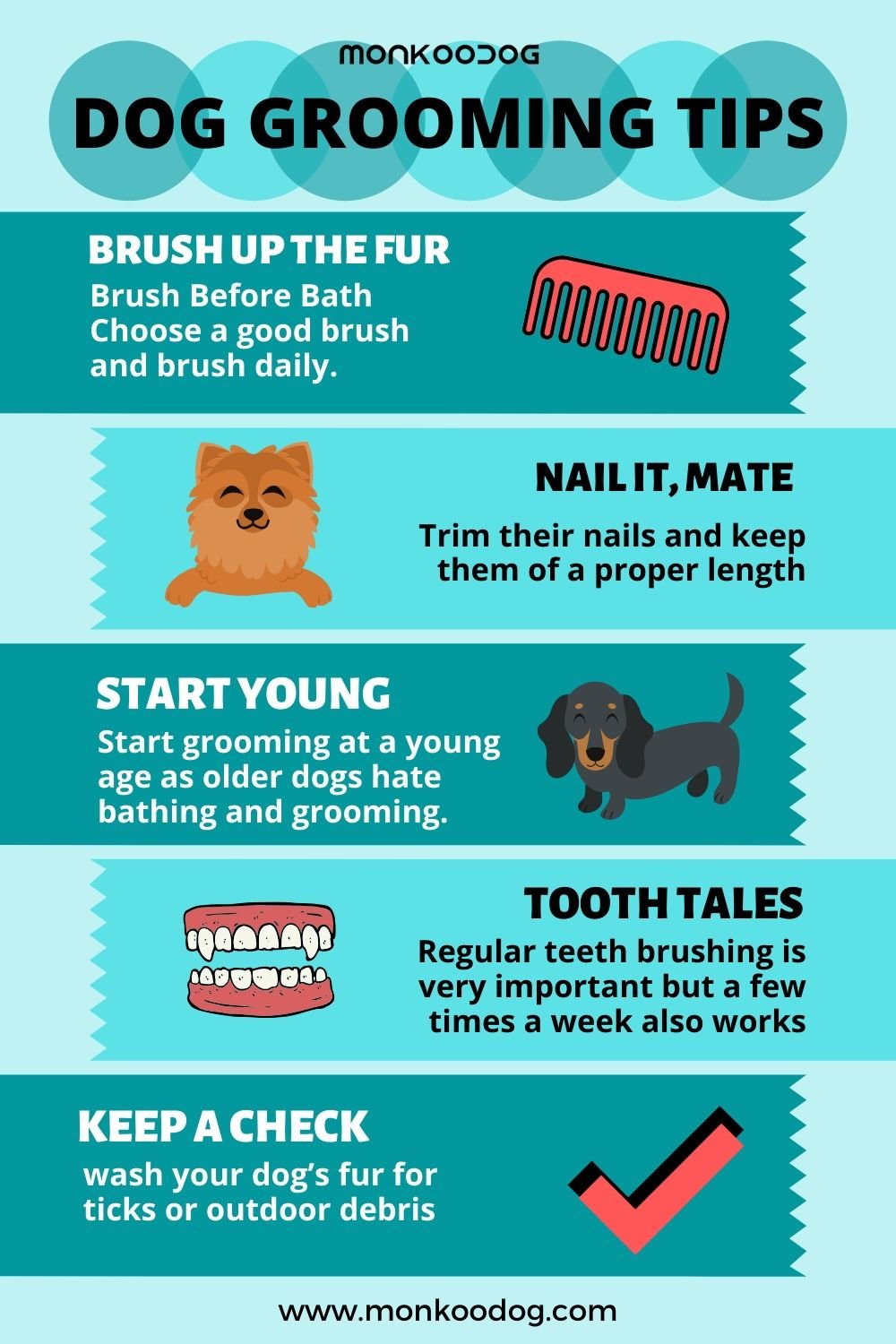 Dog grooming tips