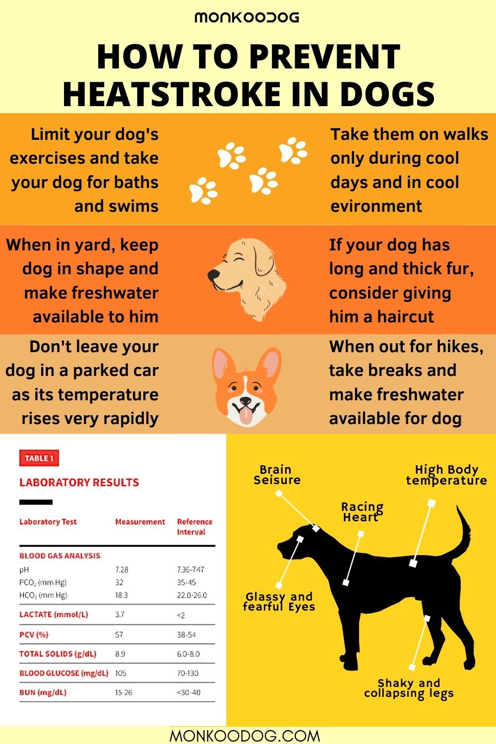 Heatstroke in dogs