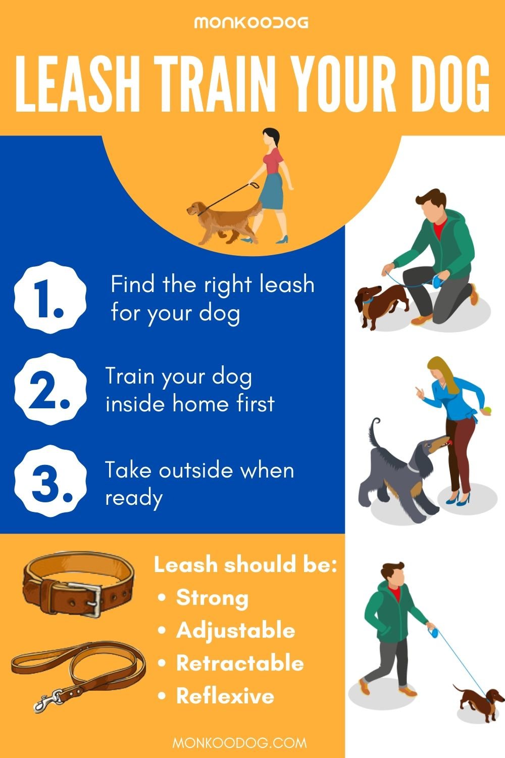 Dog leash training