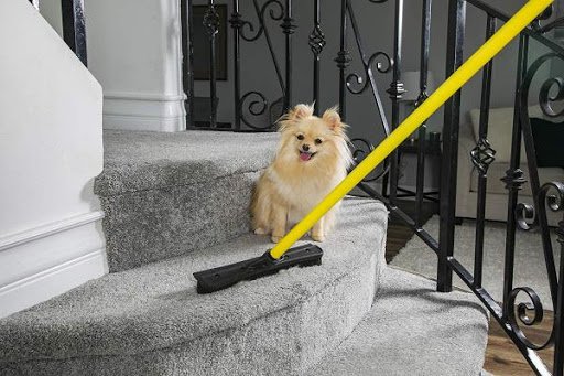 Multipurpose Broom For Pet Owners