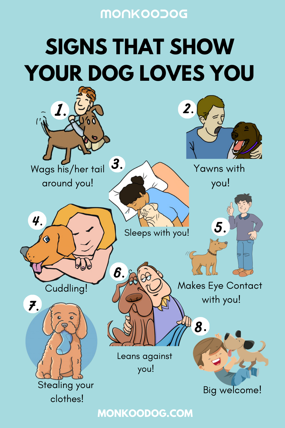 Signs that show your dog loves you