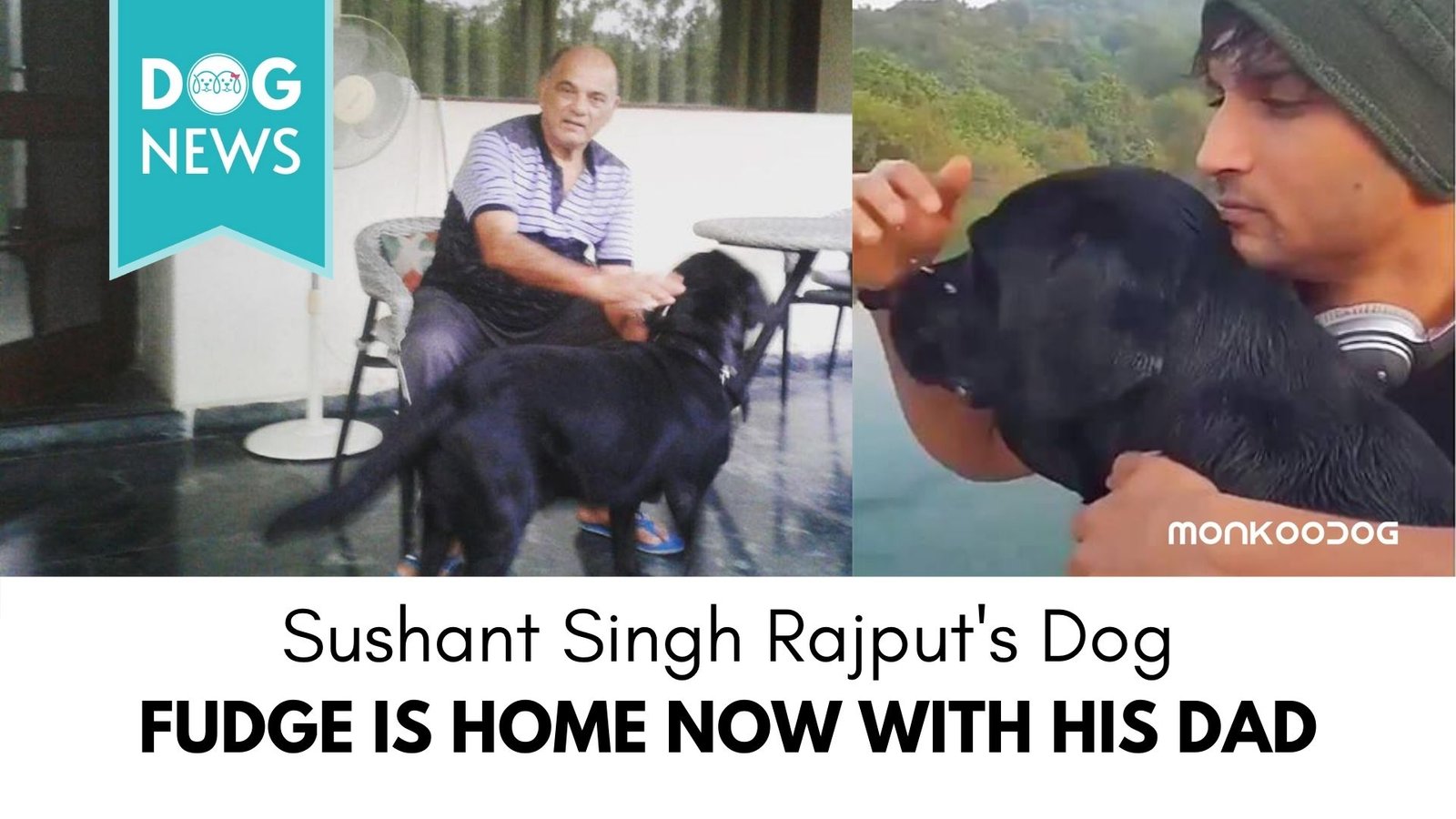 Sushant Singh Rajput’s Sister post Photos of his Dog and Dad one month after the Actor’s Alleged Suicide
