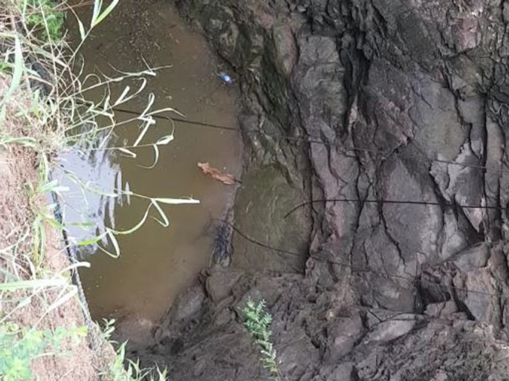 The dog fell into a 70-feet deep open well in a village
