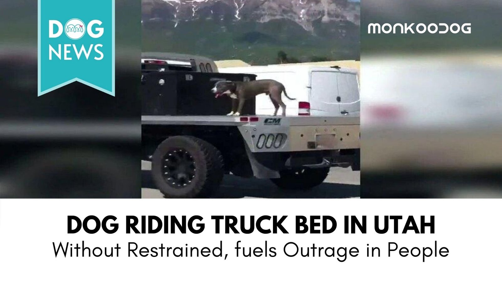 Video of a Dog on an Unrestrained Truck Bed On Utah Highway