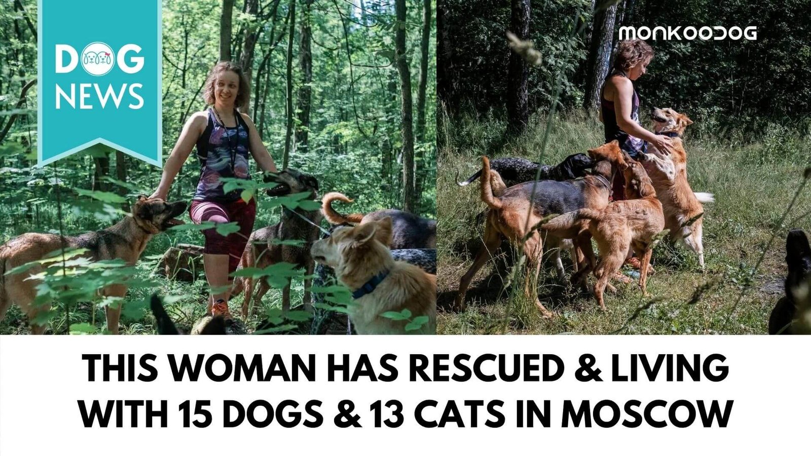 Anastasia Pomorino - The story of a woman who dedicated her entire life to saving the lives of strays of Moscow