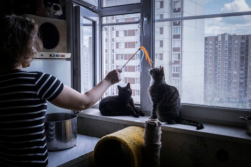 Anastasia also keeps cats in her apartment in Moscow