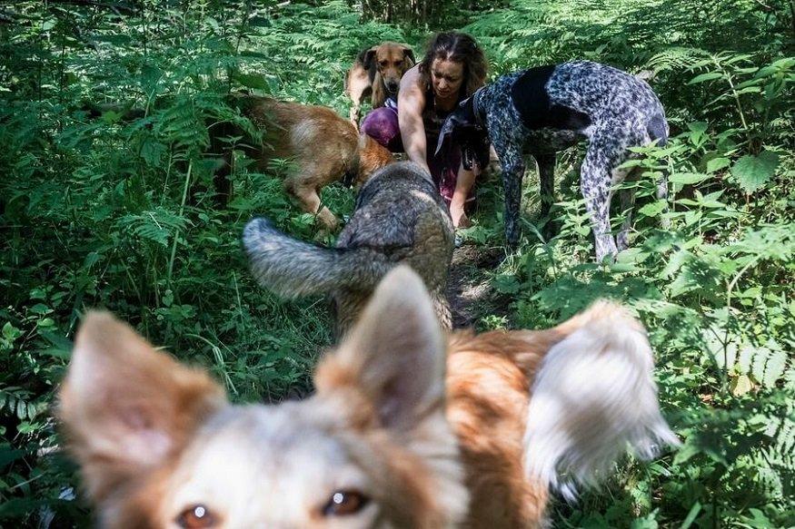 Anastasia kneels by her dogs while on a walk outside Moscow