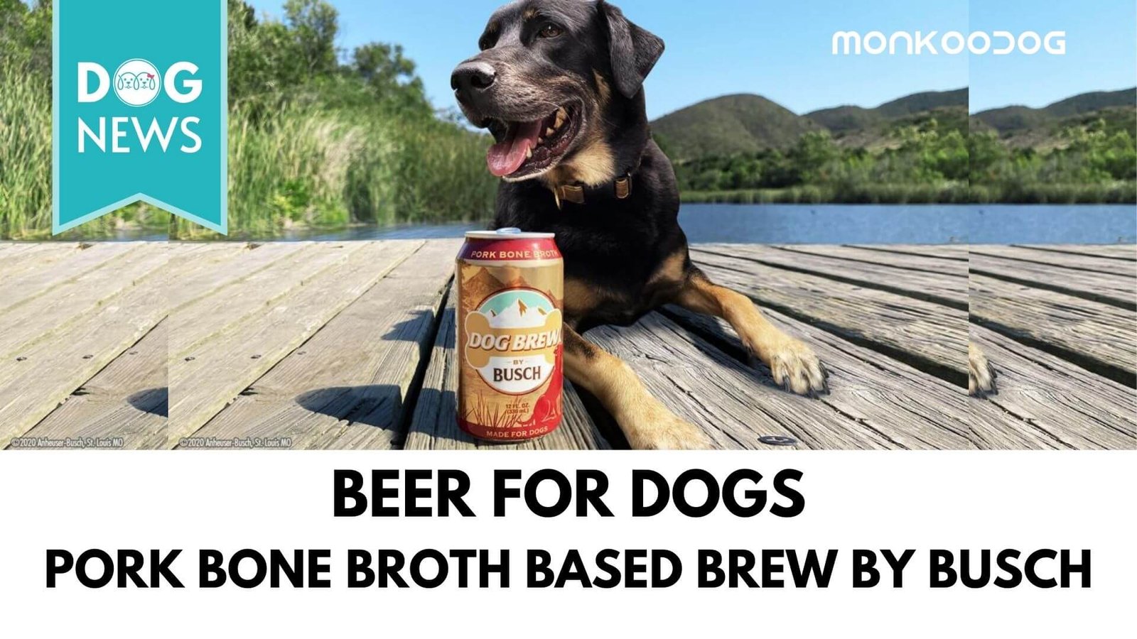 Beer Giant Busch Launches Exclusive Beer for Dogs