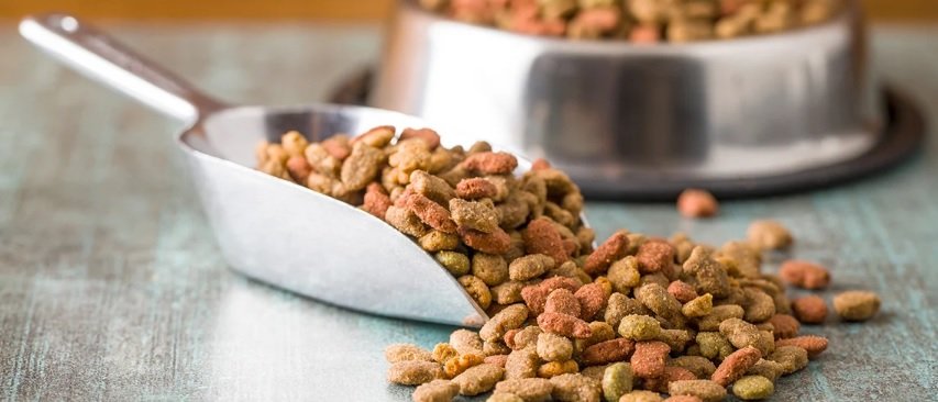 ‘Does dog food contains gluten? Picture from ThePetsNeedThat.com’