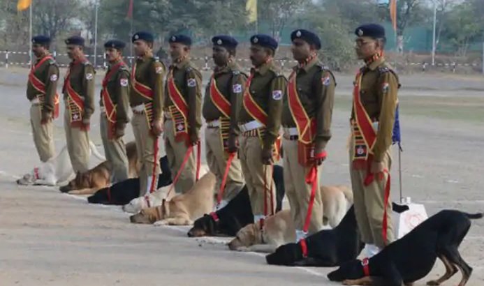 Indian Army dog squad