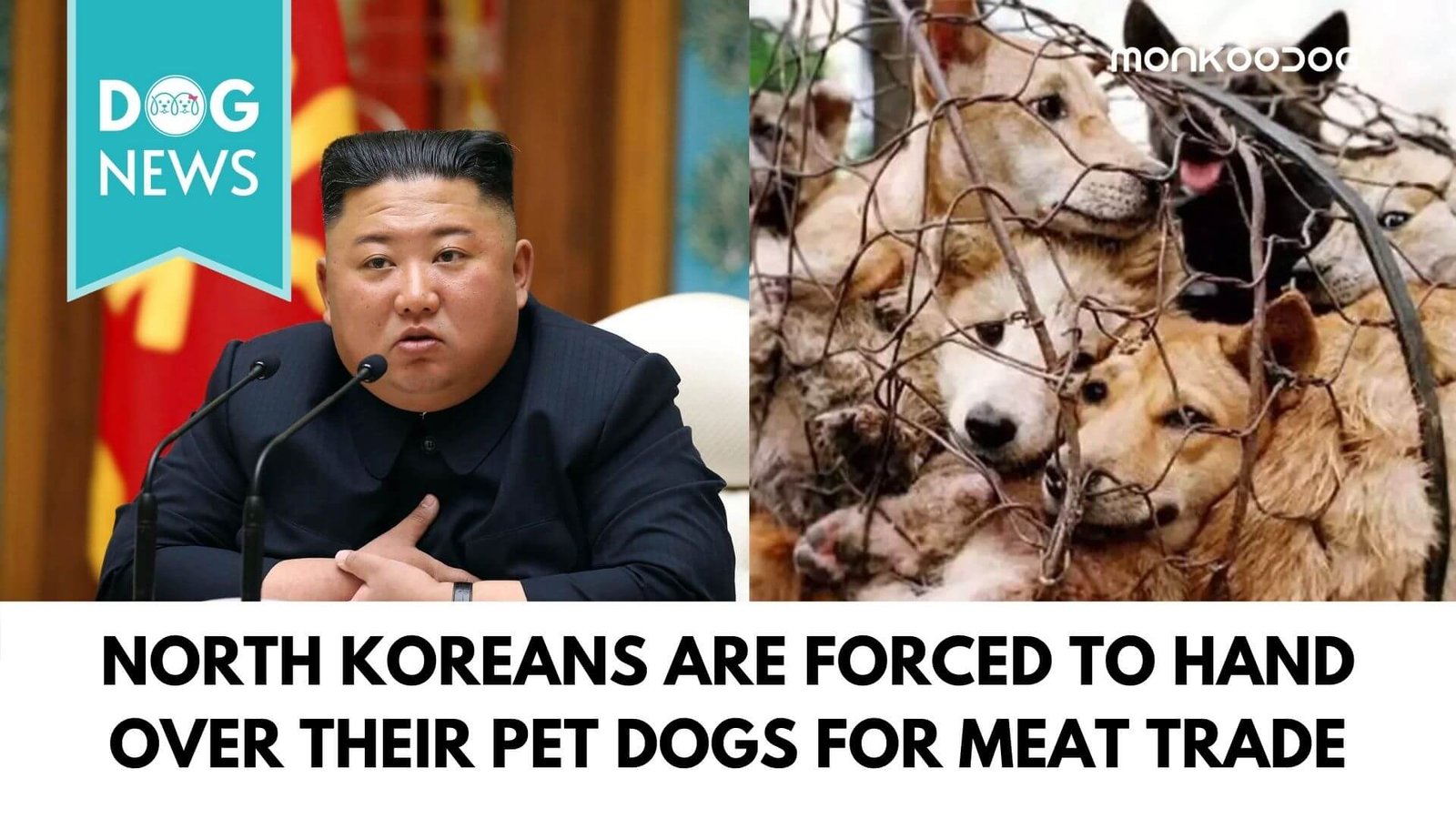 North Korean Government orders citizens to hand over pet dogs for the meat trade