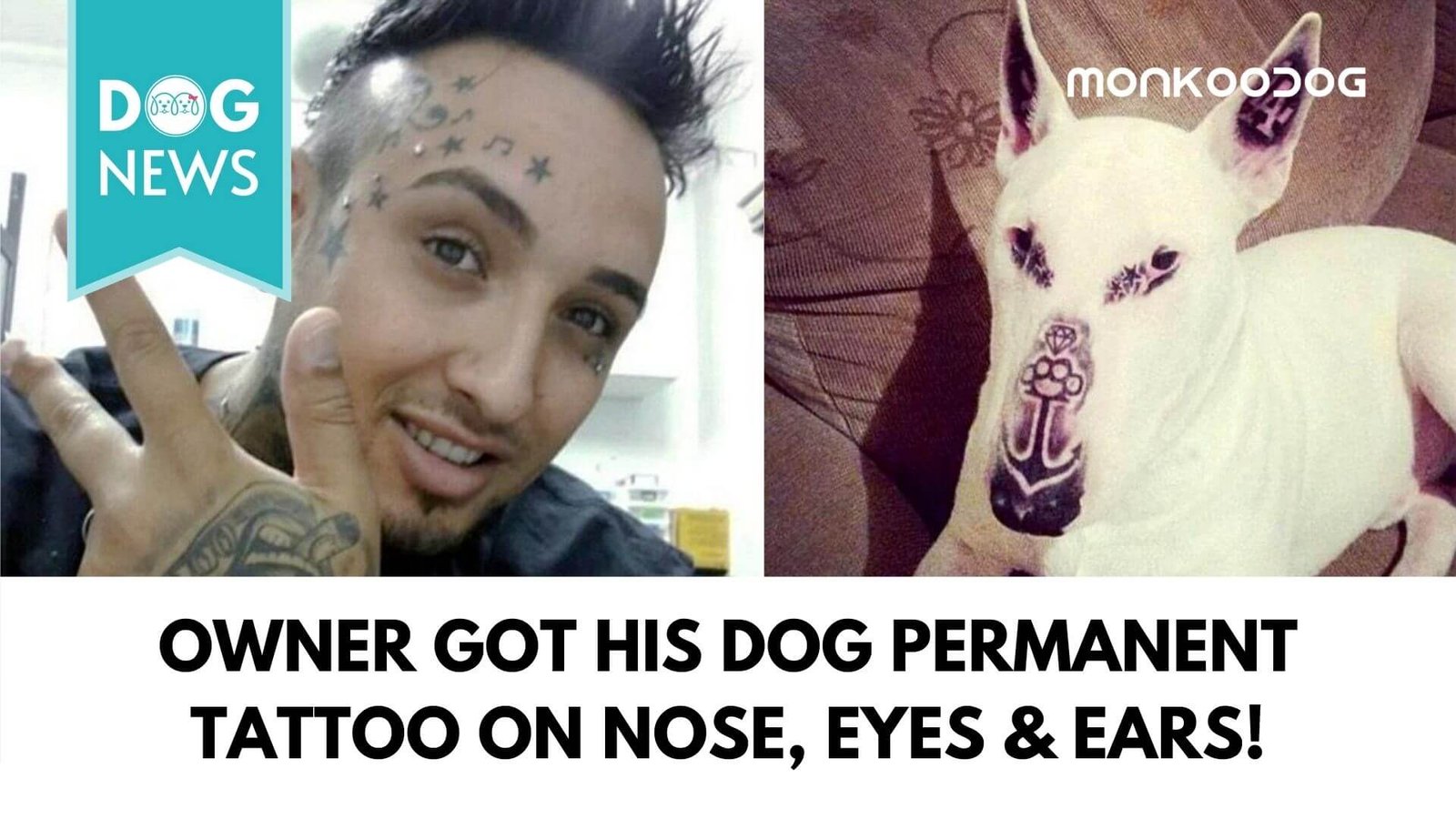 Pet Lovers Worldwide Show Anger And Concern After Photos of a Dog with Tattoos Goes Viral