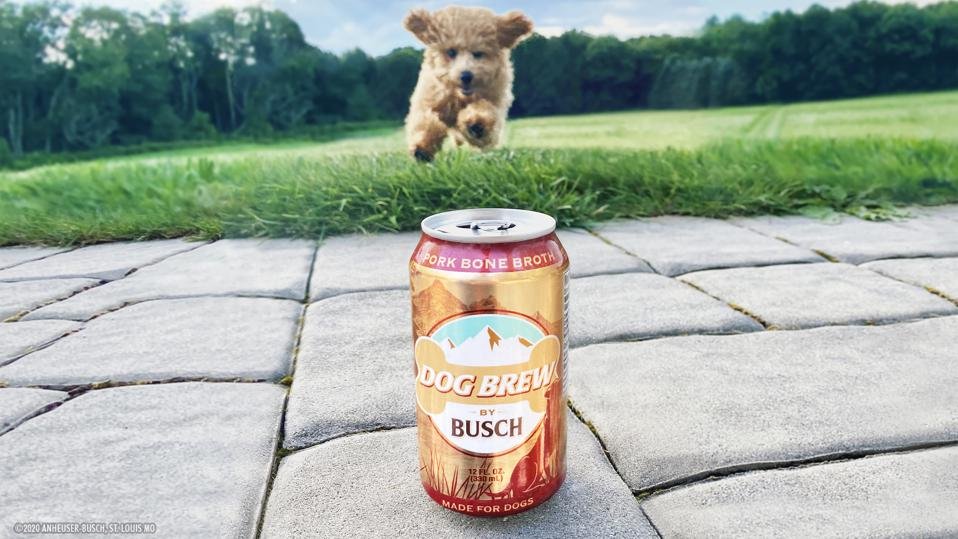 The bone broth-based Dog Brew by Busch