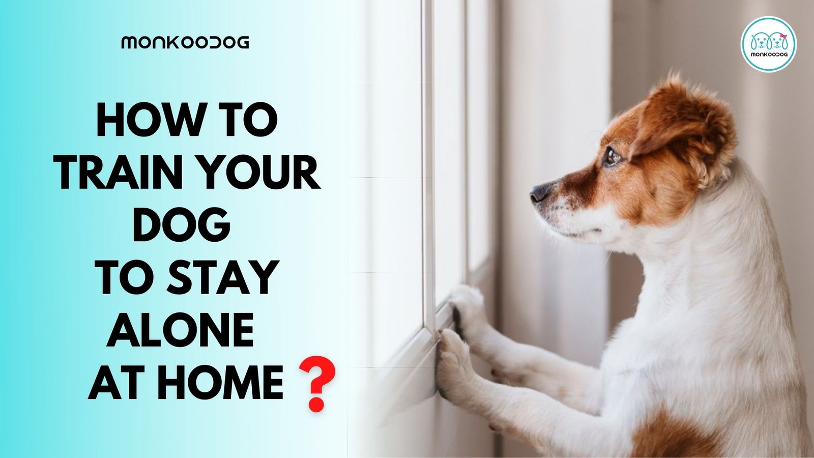 How To Train Your Dog To Stay At Home Alone