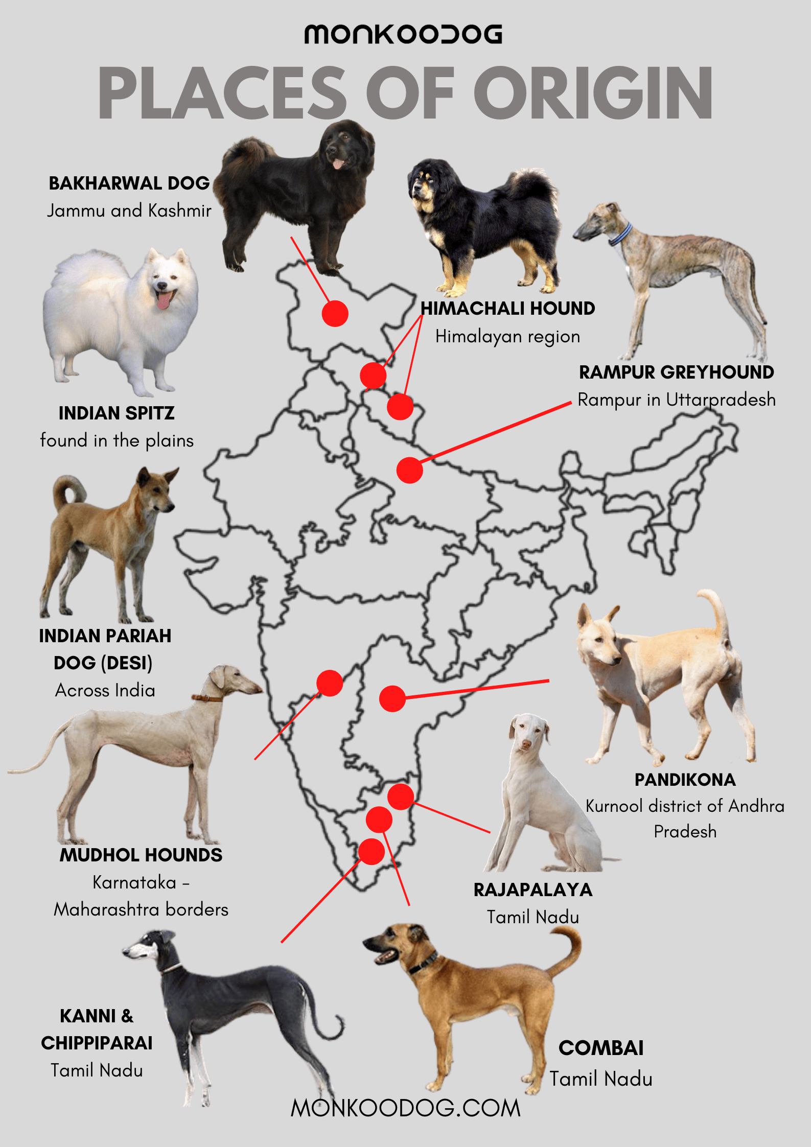 Places Of Origin Infographic