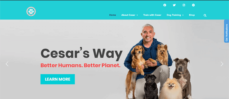 Top 10 Websites Every Dog Owner Must Know