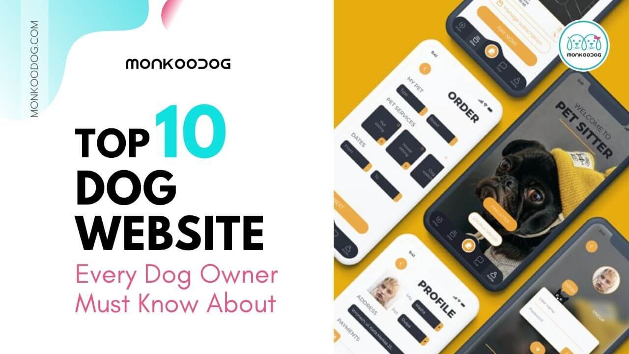 Top 10 Websites Every Dog Owner Must Know