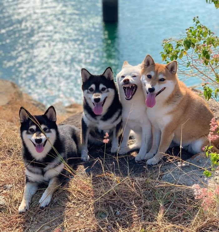 Why pose when we can already play in the water