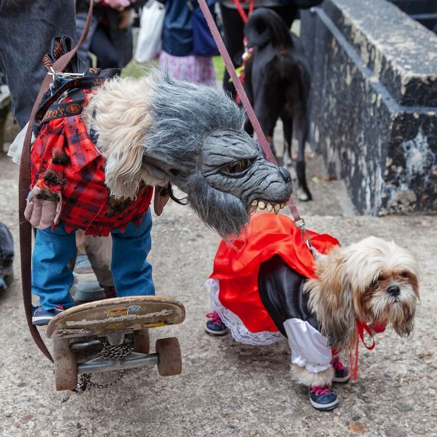 Tompkins Halloween Dog Parade 2020