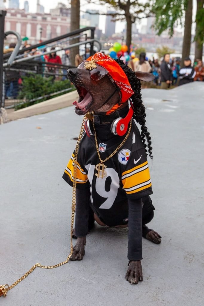 Tompkins Halloween Dog Parade