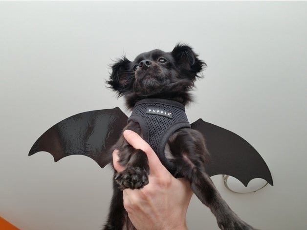 bat