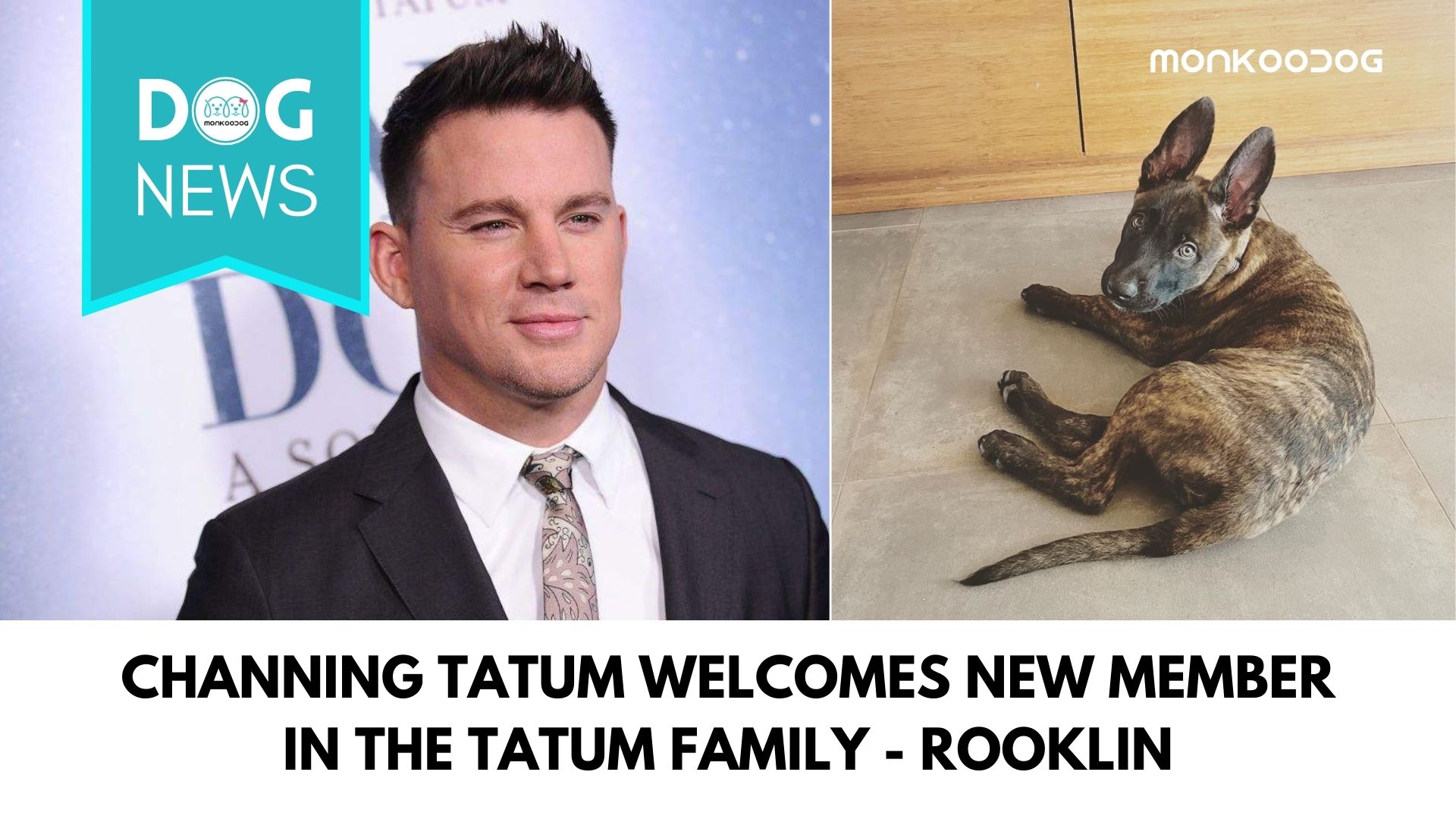 Channing Tatum Welcomes New Member In The Tatum Family While Shooting His New Movie - ‘Dog’.
