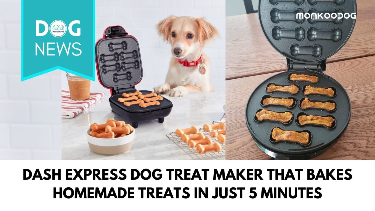 Dash Express Dog Treat Maker that bakes homemade dog treats