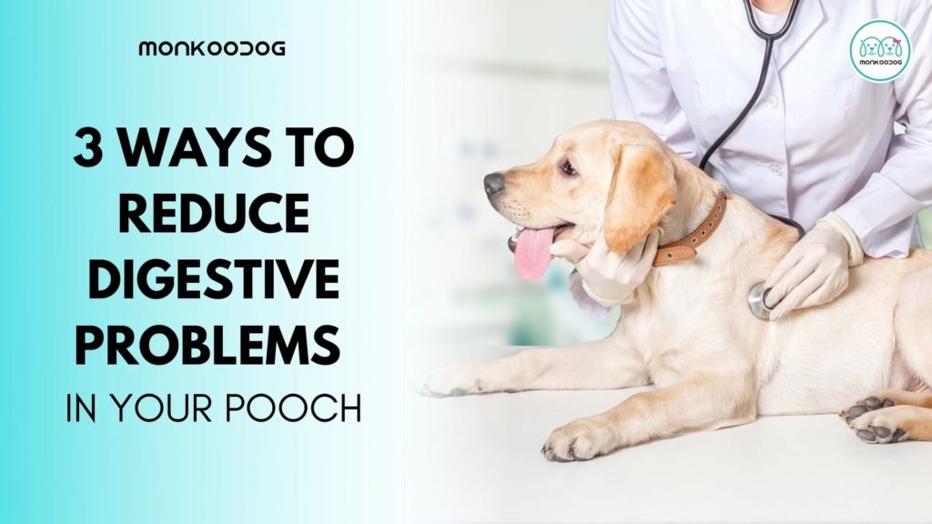 3 Ways To Reduce Digestive Problems In Your Pooch Monkoodog
