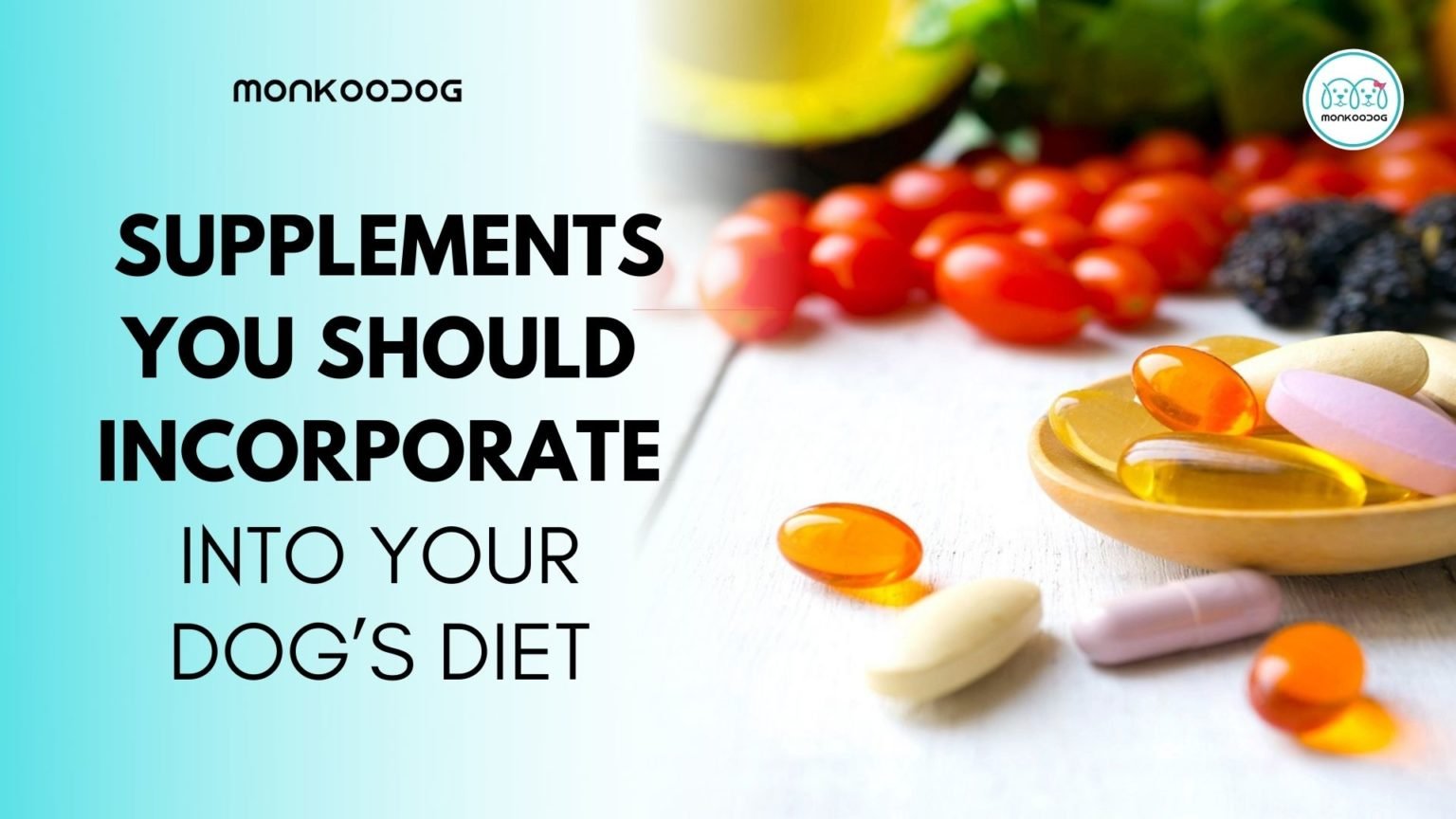 5 Supplements You Should Incorporate into Your Dog’s Diet Monkoodog