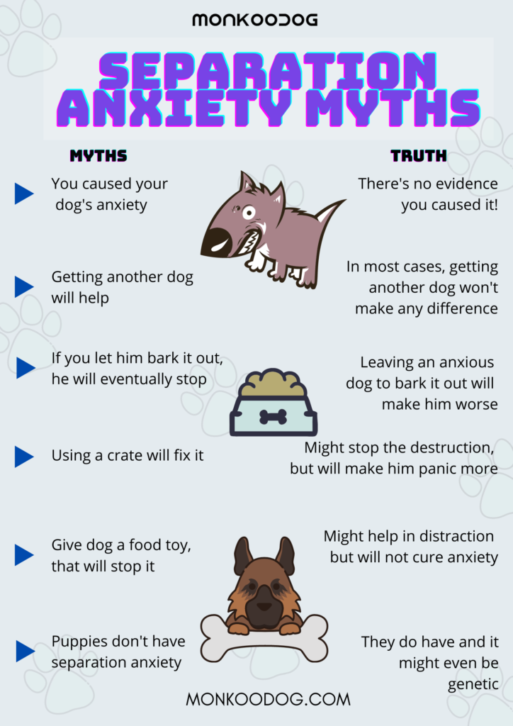 What is separation sales anxiety in dogs